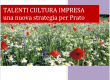 Talenti, Cultura, Impresa