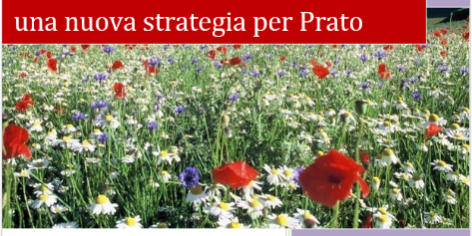 Talenti, Cultura, Impresa Talenti, Cultura, Impresa