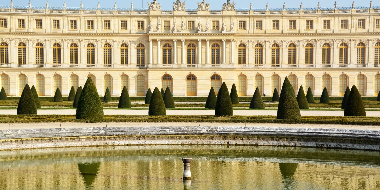 WhatsApp Image 2022-03-10 at 09.20.34